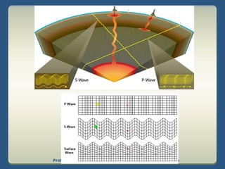 Prof. Elena Răducanu, Colegiul Naţional Bănăţean,Timişoara
 