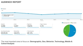 The most important ones to focus on: Demographic, Geo, Behavior, Technology, Mobile &
Cohort Analysis
AUDIENCE REPORT
 