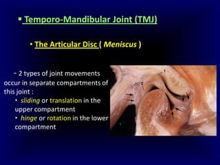 Undestanding tmj internal derangements 1 | PDF