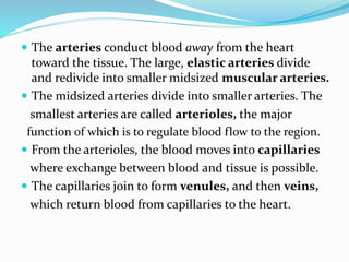  The arteries conduct blood away from the heart
toward the tissue. The large, elastic arteries divide
and redivide into smaller midsized muscular arteries.
 The midsized arteries divide into smaller arteries. The
smallest arteries are called arterioles, the major
function of which is to regulate blood flow to the region.
 From the arterioles, the blood moves into capillaries
where exchange between blood and tissue is possible.
 The capillaries join to form venules, and then veins,
which return blood from capillaries to the heart.
 
