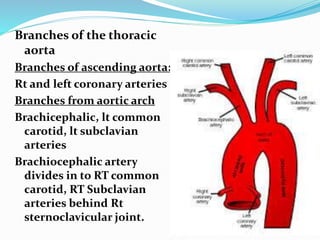 Branches of the thoracic
aorta
Branches of ascending aorta:
Rt and left coronary arteries
Branches from aortic arch
Brachicephalic, lt common
carotid, lt subclavian
arteries
Brachiocephalic artery
divides in to RT common
carotid, RT Subclavian
arteries behind Rt
sternoclavicular joint.
 