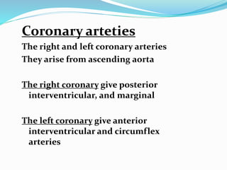 Coronary arteties
The right and left coronary arteries
They arise from ascending aorta
The right coronary give posterior
interventricular, and marginal
The left coronary give anterior
interventricular and circumflex
arteries
 