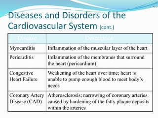 27-31
Disease Description
Myocarditis Inflammation of the muscular layer of the heart
Pericarditis Inflammation of the membranes that surround
the heart (pericardium)
Congestive
Heart Failure
Weakening of the heart over time; heart is
unable to pump enough blood to meet body’s
needs
Coronary Artery
Disease (CAD)
Atherosclerosis; narrowing of coronary arteries
caused by hardening of the fatty plaque deposits
within the arteries
Diseases and Disorders of the
Cardiovascular System (cont.)
 
