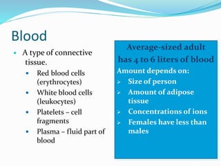 Blood
 A type of connective
tissue.
 Red blood cells
(erythrocytes)
 White blood cells
(leukocytes)
 Platelets – cell
fragments
 Plasma – fluid part of
blood
Average-sized adult
has 4 to 6 liters of blood
Amount depends on:
 Size of person
 Amount of adipose
tissue
 Concentrations of ions
 Females have less than
males
 
