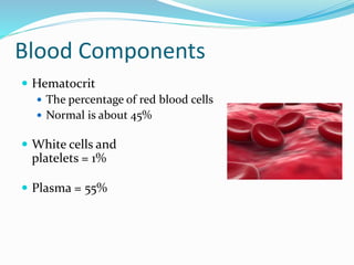 Blood Components
 Hematocrit
 The percentage of red blood cells
 Normal is about 45%
 White cells and
platelets = 1%
 Plasma = 55%
 