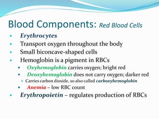 Blood Components: Red Blood Cells
 Erythrocytes
 Transport oxygen throughout the body
 Small biconcave-shaped cells
 Hemoglobin is a pigment in RBCs
 Oxyhemoglobin carries oxygen; bright red
 Deoxyhemoglobin does not carry oxygen; darker red
 Carries carbon dioxide, so also called carboxyhemoglobin
 Anemia – low RBC count
 Erythropoietin – regulates production of RBCs
 