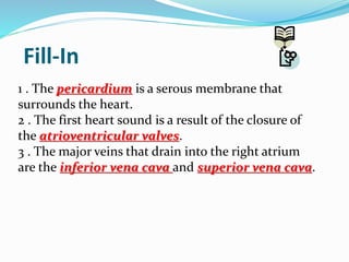 Fill-In
1 . The pericardium is a serous membrane that
surrounds the heart.
2 . The first heart sound is a result of the closure of
the atrioventricular valves.
3 . The major veins that drain into the right atrium
are the inferior vena cava and superior vena cava.
 