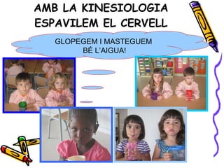 AMB LA KINESIOLOGIA ESPAVILEM EL CERVELL GLOPEGEM I MASTEGUEM BÉ L’AIGUA! 