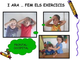 I ARA … FEM ELS EXERCICIS FRONTAL-OCCIPITAL 