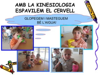 AMB LA KINESIOLOGIA
ESPAVILEM EL CERVELL
GLOPEGEM I MASTEGUEM
BÉ L’AIGUA!
 