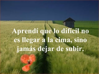 Aprendí que lo difícil no es llegar a la cima, sino jamás dejar de subir. 