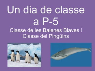 Un dia de classe
a P-5
Classe de les Balenes Blaves i
Classe del Pingüins

 