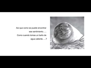 Asi que como se puede encontrar
ese sentimiento…..
Como cuando tomas un baño de
agua caliente…..?
 