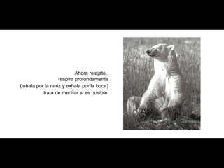 Ahora relajate,.
respira profundamente
(inhala por la nariz y exhala por la boca)
trata de meditar si es posible.
 