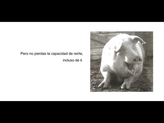 Pero no pierdas la capacidad de reirte,
incluso de ti
 