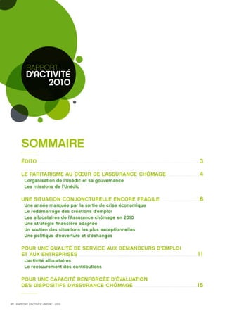 Unédic : rapport d'activité 2010