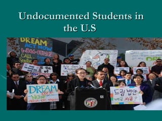 Undocumented Students in the U.S  