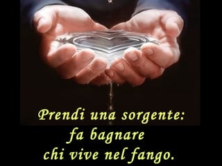 Prendi una sorgente:
fa bagnare
chi vive nel fango.
 