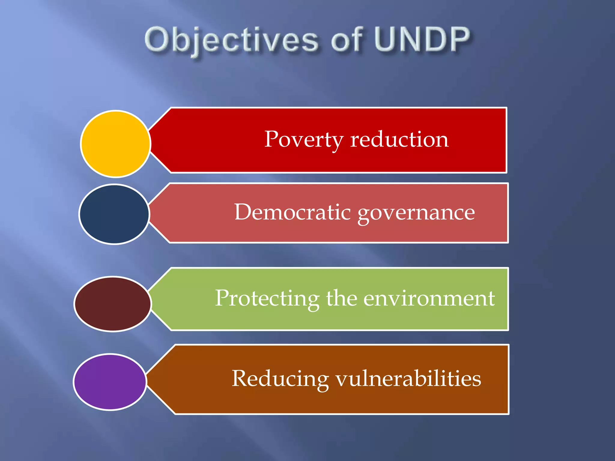 Poverty reduction
Democratic governance
Protecting the environment
Reducing vulnerabilities
 