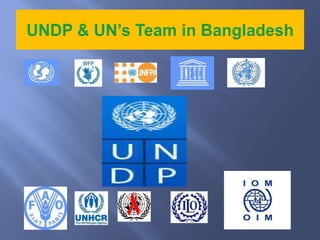 UNDP | PPTX