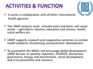 Development Undp UNDP (United nation development programme) | PDF