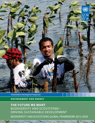 Empowered lives. Resilient nations. 
ENVIRONMENT AND ENERGY 
United Nations Development Programme 
THE FUTURE WE WANT 
BIODIVERSITY AND ECOSYSTEMS– 
DRIVING SUSTAINABLE DEVELOPMENT 
BIODIVERSITY AND ECOSYSTEMS GLOBAL FRAMEWORK 2012-2020  