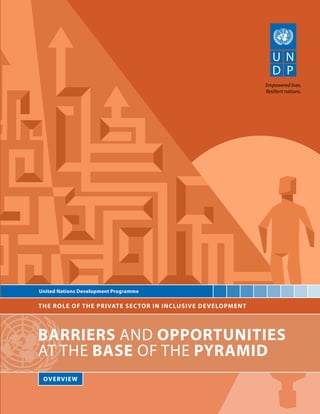 Empowered lives. 
Resilient nations. 
United Nations Development Programme 
The Role of the Private Sector in Inclusive Development 
barriers and opportunities 
AT the base of the pyramid 
overview 
 