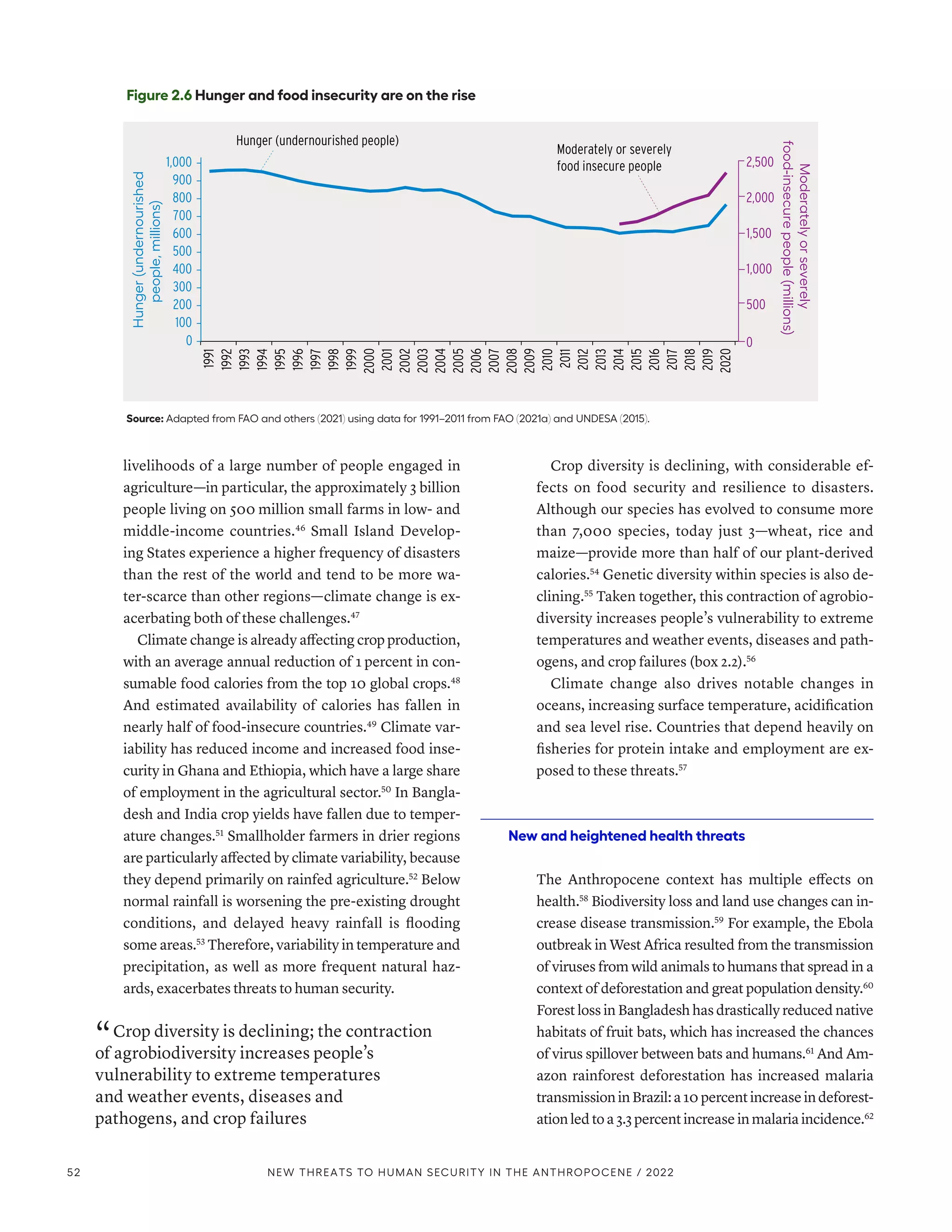 livelihoods of a large number of people engaged in
agriculture­
—­
in particular, the approximately 3 billion
people living on 500 million small farms in low- and
middle-income countries.46
Small Island Develop-
ing States experience a higher frequency of disasters
than the rest of the world and tend to be more wa-
ter-scarce than other regions­
—­
climate change is ex-
acerbating both of these challenges.47
Climate change is already affecting crop production,
with an average annual reduction of 1 percent in con-
sumable food calories from the top 10 global crops.48
And estimated availability of calories has fallen in
nearly half of food-insecure countries.49
Climate var-
iability has reduced income and increased food inse-
curity in Ghana and Ethiopia, which have a large share
of employment in the agricultural sector.50
In Bangla-
desh and India crop yields have fallen due to temper-
ature changes.51
Smallholder farmers in drier regions
are particularly affected by climate variability, because
they depend primarily on rainfed agriculture.52
Below
normal rainfall is worsening the pre-existing drought
conditions, and delayed heavy rainfall is flooding
some areas.53
Therefore, variability in temperature and
precipitation, as well as more frequent natural haz-
ards, exacerbates threats to human security.
“ Crop diversity is declining; the contraction
of agrobiodiversity increases people’s
vulnerability to extreme temperatures
and weather events, diseases and
pathogens, and crop failures
Crop diversity is declining, with considerable ef-
fects on food security and resilience to disasters.
Although our species has evolved to consume more
than 7,000 species, today just 3­
—­
wheat, rice and
maize­
—­
provide more than half of our plant-derived
calories.54
Genetic diversity within species is also de-
clining.55
Taken together, this contraction of agrobio-
diversity increases people’s vulnerability to extreme
temperatures and weather events, diseases and path-
ogens, and crop failures (box 2.2).56
Climate change also drives notable changes in
oceans, increasing surface temperature, acidification
and sea level rise. Countries that depend heavily on
fisheries for protein intake and employment are ex-
posed to these threats.57
New and heightened health threats
The Anthropocene context has multiple effects on
health.58
Biodiversity loss and land use changes can in-
crease disease transmission.59
For example, the Ebola
outbreak in West Africa resulted from the transmission
of viruses from wild animals to humans that spread in a
context of deforestation and great population density.60
Forest loss in Bangladesh has drastically reduced native
habitats of fruit bats, which has increased the chances
of virus spillover between bats and humans.61
And Am-
azon rainforest deforestation has increased malaria
transmissioninBrazil:a10 percentincreaseindeforest-
ation led to a 3.3 percent increase in malaria incidence.62
Figure 2.6 Hunger and food insecurity are on the rise
Source: Adapted from FAO and others (2021) using data for 1991–2011 from FAO (2021a) and UNDESA (2015).
500
1,000
1,500
2,000
2,500
100
200
300
400
500
600
700
800
900
1,000
1991
1992
1993
1994
1995
1996
1997
1998
1999
2000
2001
2002
2003
2004
2005
2006
2007
2008
2009
2010
2011
2012
2013
2014
2015
2016
2017
2018
2019
2020
Hunger
(undernourished
people,
millions)
Hunger (undernourished people)
Moderately
or
severely
food-insecure
people
(millions)
Moderately or severely
food insecure people
0
0
52 NEW THREATS TO HUMAN SECURITY IN THE ANTHROPOCENE / 2022
 