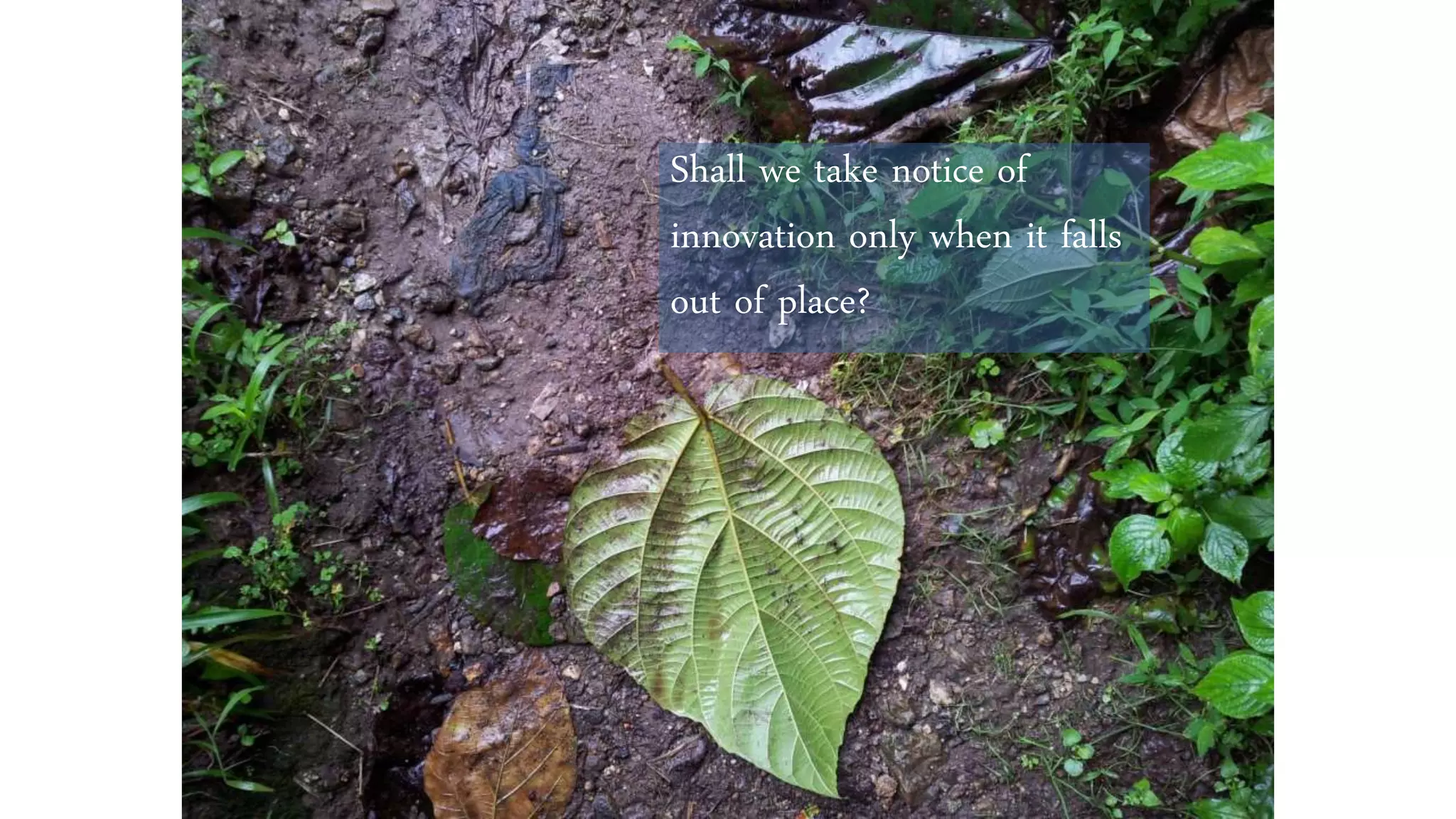 Shall we take notice of
innovation only when it falls
out of place?
 