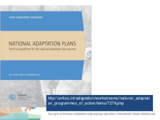 http://unfccc.int/adaptation/workstreams/national_adaptati
on_programmes_of_action/items/7279.php
 