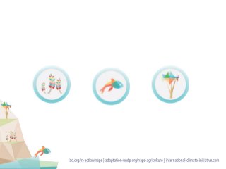 Overview of the NAP Technical Guidelines