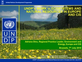 UNDP’s WORK in ECOSYSTEMS AND NATURAL RESOURCES IN EUROPE AND CIS  Adriana Dinu, Regional Practice Leader, Environment and Energy, Europe and CIS  Brussels, 7th July 2010 © 2010 UNDP. All Rights Reserved Worldwide. Proprietary and Confidential. Not For Distribution Without Prior Written Permission. 
