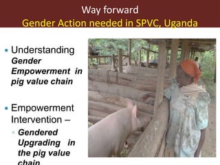 Gender in Smallholder Pig Value Chains—ILRI approach Uganda