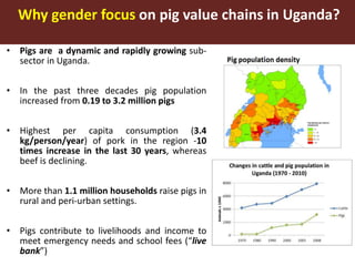 Gender in Smallholder Pig Value Chains—ILRI approach Uganda