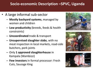 Gender in Smallholder Pig Value Chains—ILRI approach Uganda