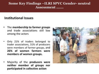 Gender in Smallholder Pig Value Chains—ILRI approach Uganda