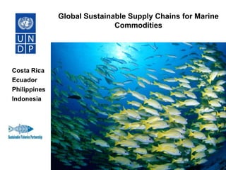 Global Sustainable Supply Chains for Marine
Commodities

Costa Rica
Ecuador
Philippines
Indonesia

 