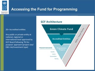 Accessing the Fund for Programming
20+	
  Accredited	
  enGGes	
  
	
  
Any	
  public	
  or	
  private	
  enGty	
  at	
  
naGonal,	
  regional	
  or	
  
internaGonal	
  level	
  approved	
  by	
  
GCF	
  Board	
  following	
  ‘ﬁt-­‐for-­‐
purpose’	
  approach	
  (project	
  size/
E&S	
  risk/investment	
  type)	
  
 