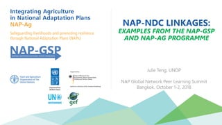 NAP-NDC LINKAGES:
EXAMPLES FROM THE NAP-GSP
AND NAP-AG PROGRAMME
Julie Teng, UNDP
NAP Global Network Peer Learning Summit
...