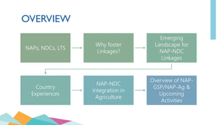 OVERVIEW
NAPs, NDCs, LTS
Why foster
Linkages?
Emerging
Landscape for
NAP-NDC
Linkages
Country
Experiences
NAP-NDC
Integrat...