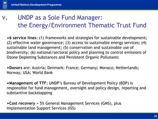Undp Data Strategy undp_presentation_revised_17_may (1).ppt