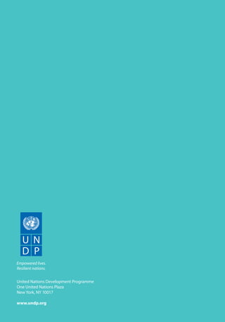 United Nations Development Programme 
One United Nations Plaza 
New York, NY 10017 
www.undp.org 
