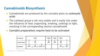Cannabinoids Biosynthesis
 Cannabinoids are produced by the cannabis plant as carboxylic
acids
 The carboxyl group is no...