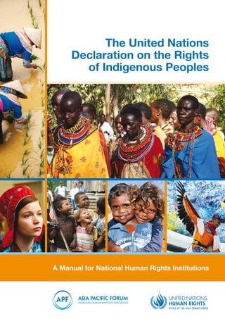 The United Nations 
Declaration on the Rights 
of Indigenous Peoples 
A Manual for National Human Rights Institutions 
 