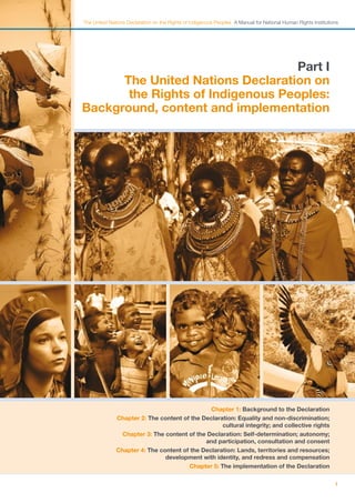 The United Nations Declaration on the Rights of Indigenous Peoples A ...