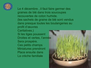 Le 4 décembre , il faut faire germer des
graines de blé dans trois soucoupes
                          .
recouvertes de coton humide.
(les sachets de graine de blé sont vendus
dans presque toutes les boulangeries au
profit d’œuvres
Caritatives.)
Si les tiges poussent
Droites et vertes, l’année
Sera prospère.
Ces petits champs
Miniatures prendront
Place ensuite dans
La crèche familiale
 