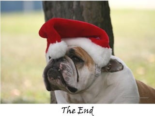 Une  Veille De  NoëL  Slovaque