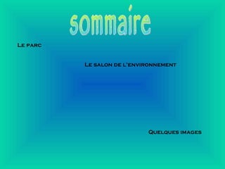 sommaire Le salon de l’environnement   Le parc Quelques images 