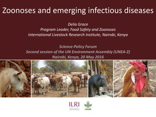 Zoonoses and emerging infectious diseases
Delia Grace
Program Leader, Food Safety and Zoonoses
International Livestock Research Institute, Nairobi, Kenya
Science-Policy Forum
Second session of the UN Environment Assembly (UNEA‐2)
Nairobi, Kenya, 20 May 2016
 