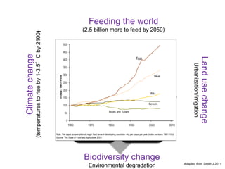 Zoonoses and emerging infectious diseases
